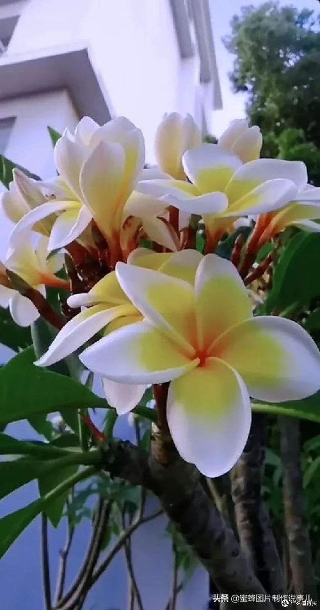 资深篮球教练推荐的训练规矩_0